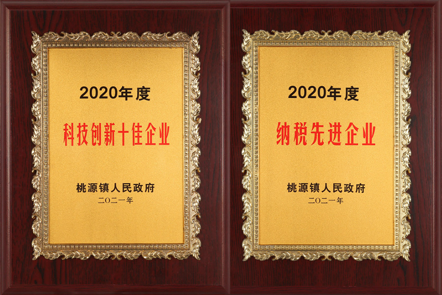 January 2021, the People's Government of Taoyuan Town presented two significant awards to the company for its performance in 2020.